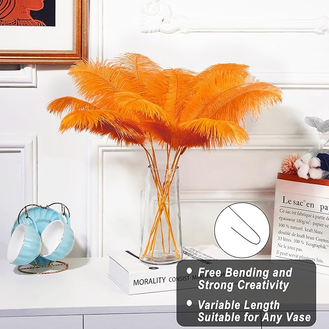 Holmgren Orange Ostrich Feathers Bulk - Image 2