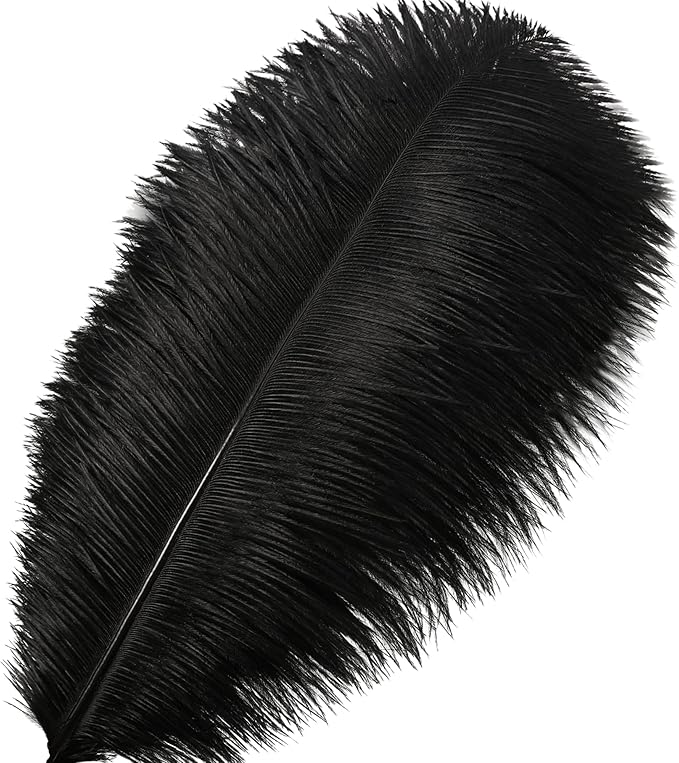 Larryhot Black Ostrich Feathers Bulk - Image 2