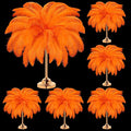80 Pcs Large Natural Ostrich Feathers Plumes 14-16 Inch Bulk by Yuxung