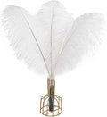 THARAHT 12pcs White Ostrich Feathers Natural Bulk 14-16Inch 35cm-40cm by THARAHT
