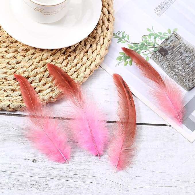 SOGUGOM Pink Rooster Tail Feathers - Image 6