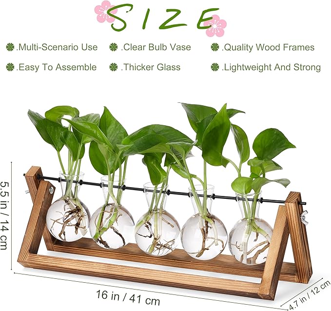YIBOT Propagation Stations, Plant Terrarium - Image 2