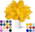 NEWONG 30pcs Gold Ostrich Feathers Natural Bulk 11-14inch Vase Craft Wedding by NEWONG