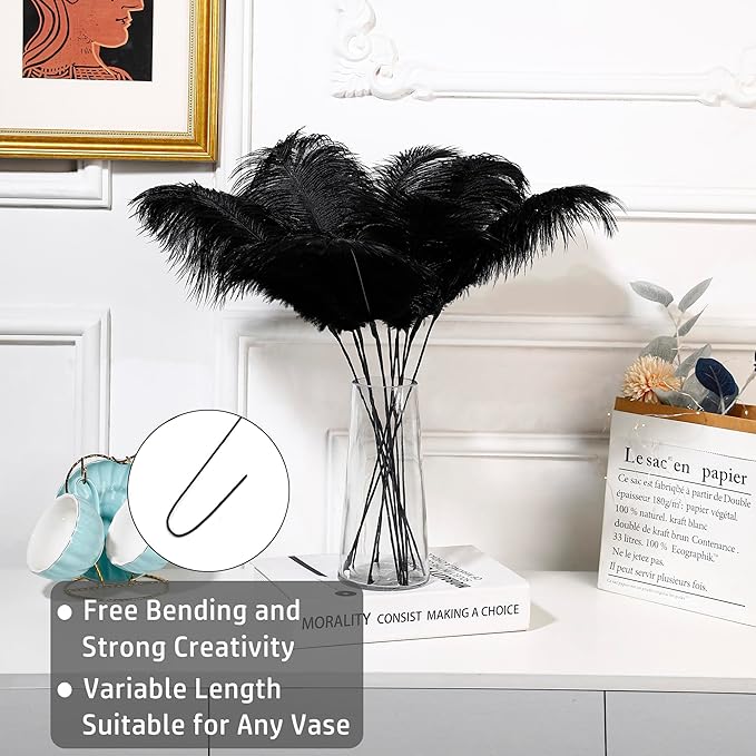 Holmgren Black Ostrich Feathers Bulk - Image 2
