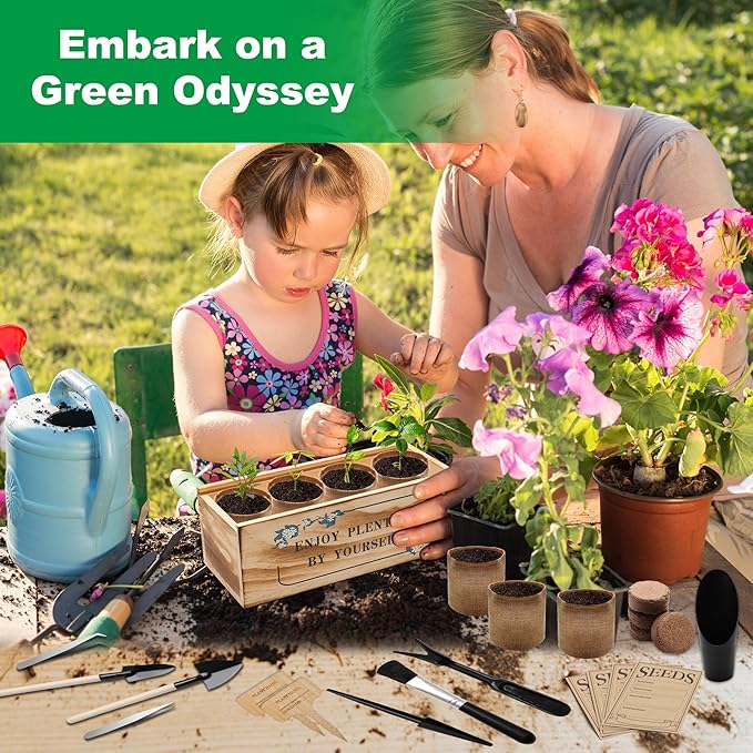 Bonsai Tree Starter Kit, Indoor Bonsai Tree Kit Meeting Planting and Caring - Image 7