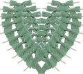 50pcs 2-1/2" Vanilla Green Satin Ribbon Bows by Micomon