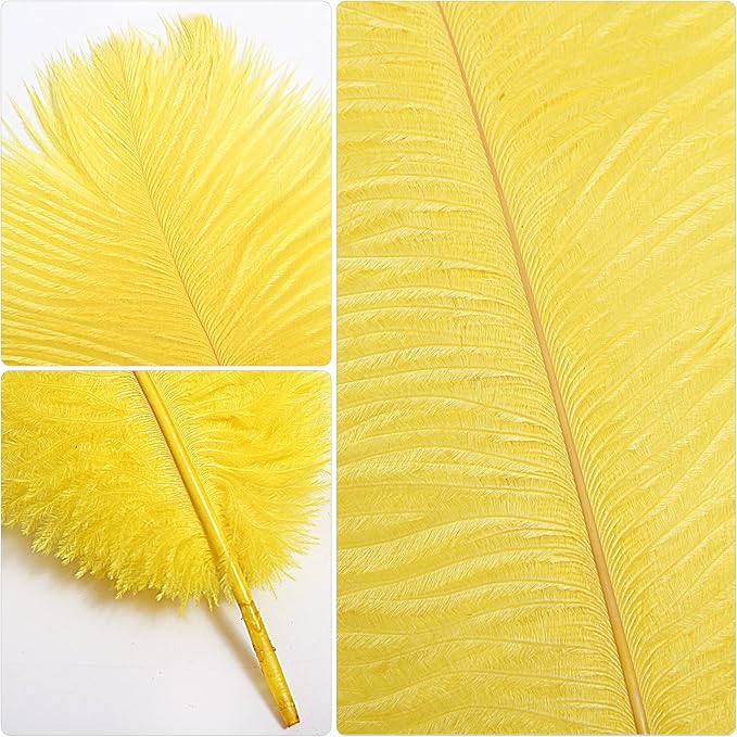 THARAHT Yellow Ostrich Feathers 24pcs Natural Bulk 10-12Inch 25cm-30cm - Image 3