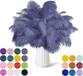 NEWONG 30pcs Blue Purple Ostrich Feathers Natural Bulk 11-14inch Vase Craft by NEWONG