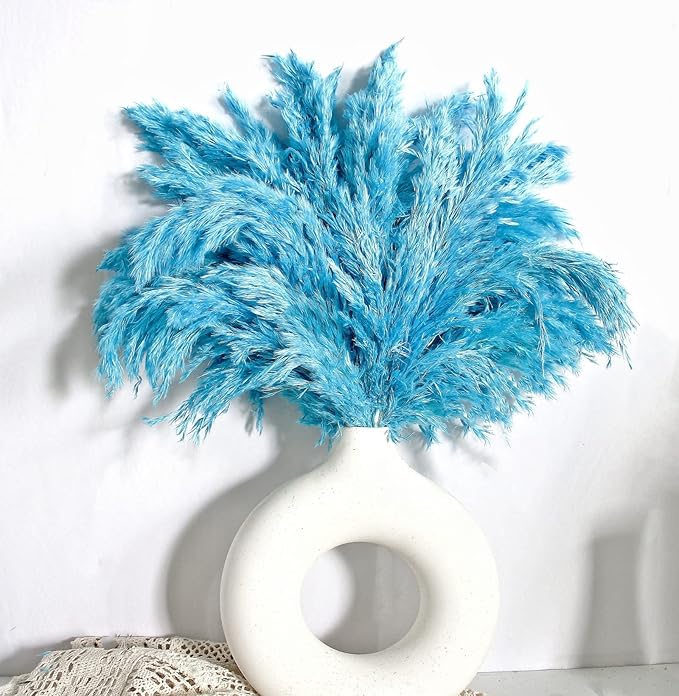 Blue Pampas Grass for Home Decor by Unknown