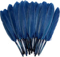 FeelfunFeather 120pcs Navy Blue Goose Cochettes Feather Natural Bulk 4-6 inch by FeelFunFeather