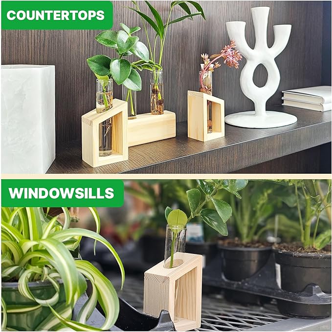 Plant Propagation Station - Image 7