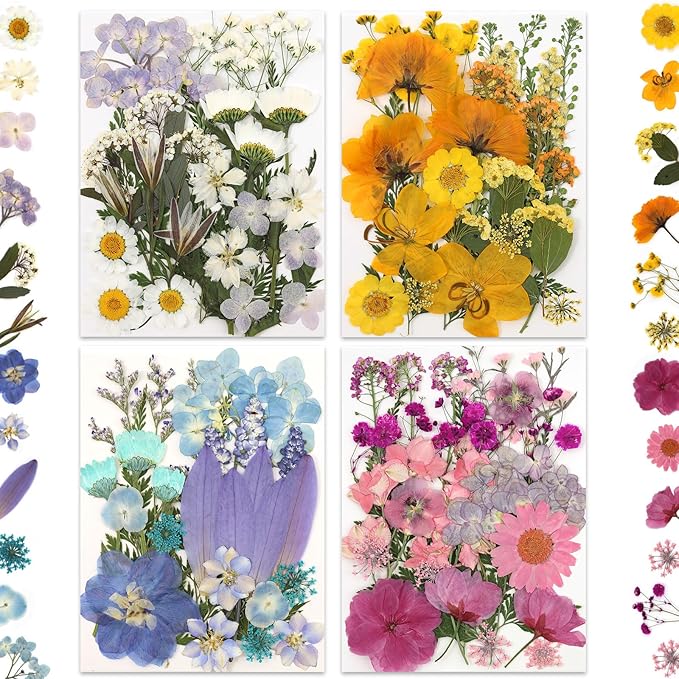 110P 4 Color Long Stem Dried Flowers - Image 4