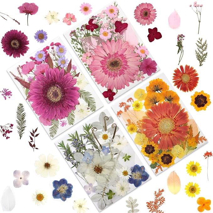 100 Pcs Large Dried Pressed Flowers by LUXEEASE