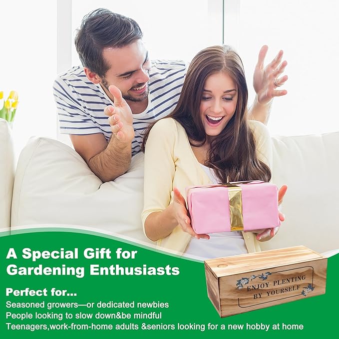 Bonsai Tree Starter Kit, Indoor Bonsai Tree Kit Meeting Planting and Caring - Image 4
