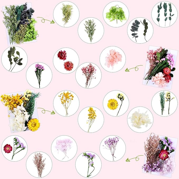 Nuanchu 4 Bags Natural Dried Flowers Leaves Set, Mixed Dried Hydrangeas - Image 2