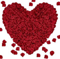 1000Pieces Rose Petals, Artificial Flower Petals Fake Rose Petals by Pyrrhiax
