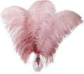 Larryhot Pink Ostrich Feathers Bulk- 16-18 inch 10pcs Feathers by Larryhot