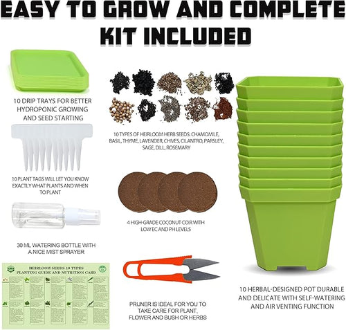 10 Herb Seeds Garden Starter Grow Kit - Image 2