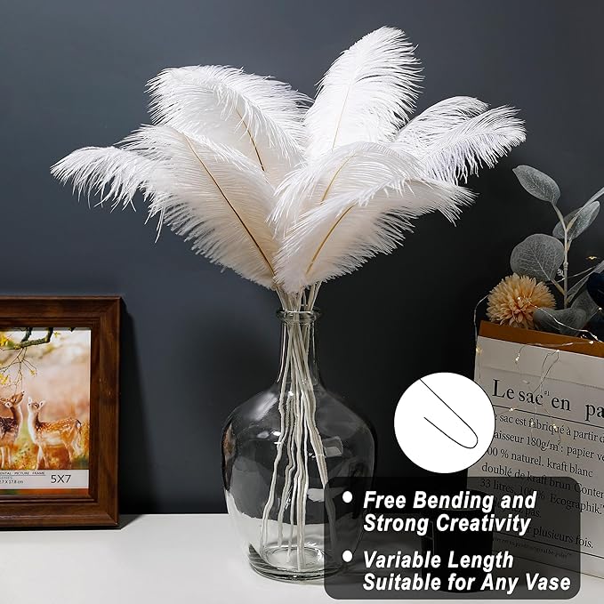 Holmgren White Ostrich Feathers Bulk - Image 2