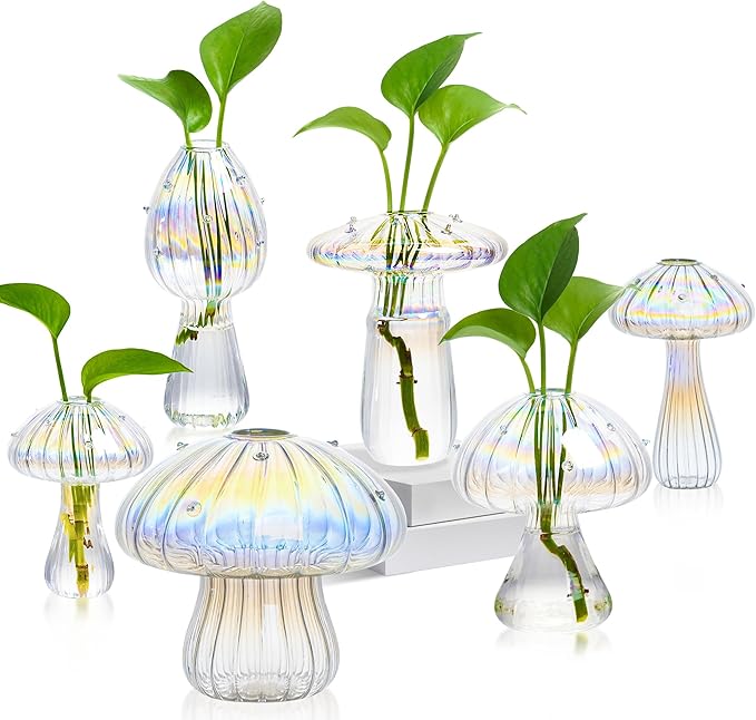 Plant Propagation Station, Propagation Stations, Small Plant Terrarium by JXWENBYX
