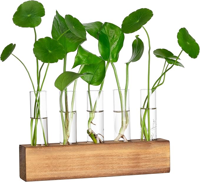 YIBOT Propagation Stations, Plant Terrarium by YIBOT