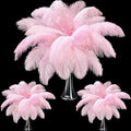 Maitys 90 Pcs Large Natural Ostrich Feathers Bulk 14-16 Inch 12-14 Inch 10-12 by Maitys