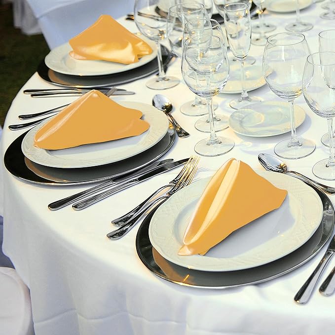ANECO 12 Pieces Satin Napkins Soft Dinner Napkins Square Table Napkins 17 x 17 - Image 6