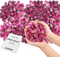 Dried Flower Thousand Days Biodegradable Confetti by JAPJA