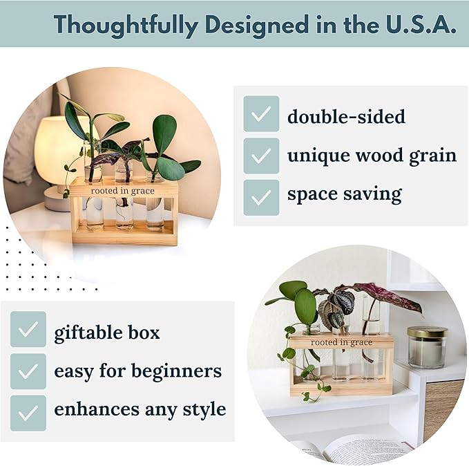 Rooted in Grace: Plant Propagation Stations: Plant Cutting Holder w/ 3 Glass - Image 2