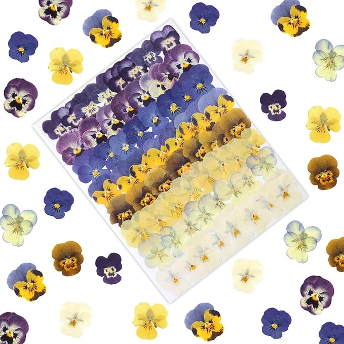 64 Pcs Dried Pressed Viola Flowers, 8 Color Gradient Purple Blue Yellow White by LUXEEASE