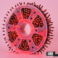 YEGUO 165ft 500 LED Halloween Lights Outdoor Waterproof by YEGUO