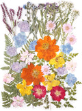 13Types 48Pcs Real Dried Pressed Flowers Leaf Plant Herbarium by AHTONG