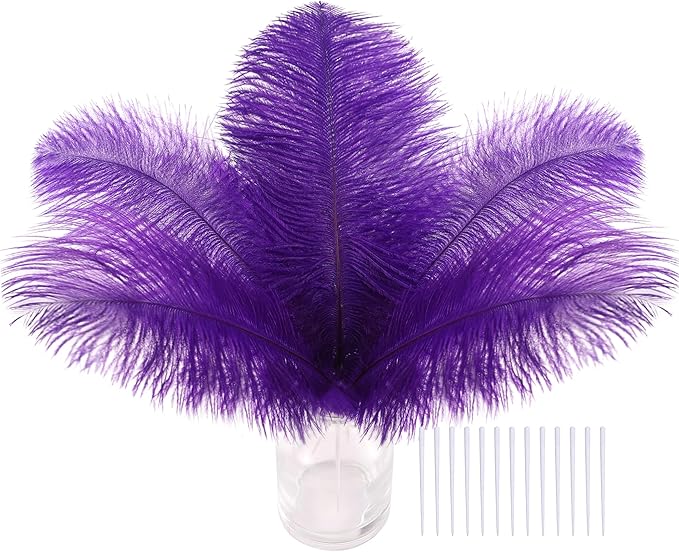 SOGUGOM Pueple Craft Ostrich Feathers by SOGUGOM