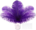 SOGUGOM Pueple Craft Ostrich Feathers by SOGUGOM