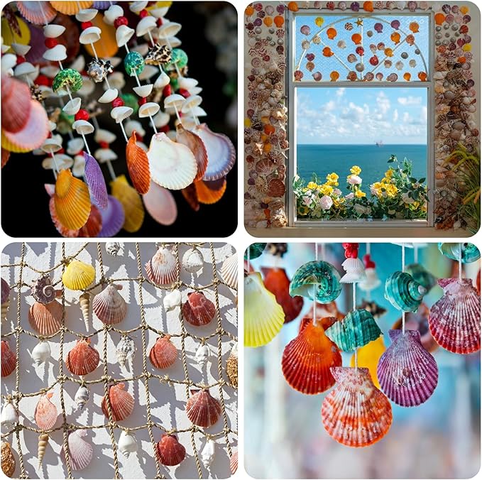 25PCS Sea Shells Scallop Shells Natural White Sea Shells - Image 2
