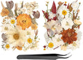 50pcs Boho Pressed Flowers Bulk, Vintage Dried Flower Leaves, Natural Fall by LGFMGWH