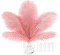 SOGUGOM Pink Craft Ostrich Feathers by SOGUGOM