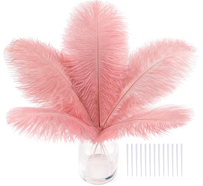 SOGUGOM Pink Craft Ostrich Feathers by SOGUGOM