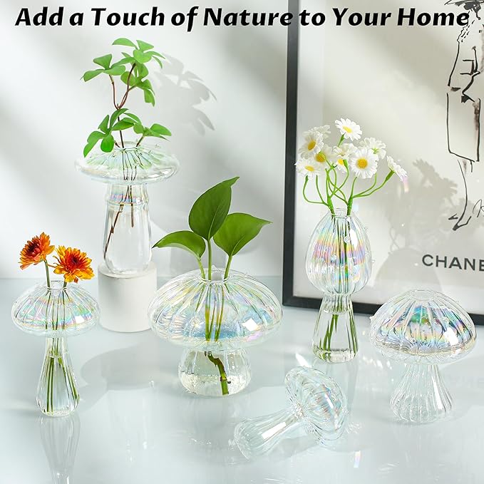 Plant Propagation Station, Propagation Stations, Small Plant Terrarium - Image 2