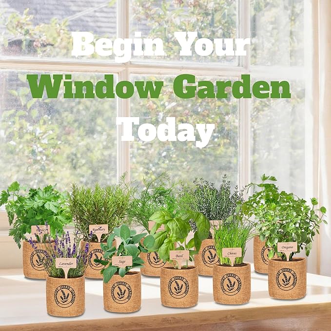 10 Indoor Herb Garden Kit- Burlap Pots, Organic Seeds, Herb Garden Planter - Image 6