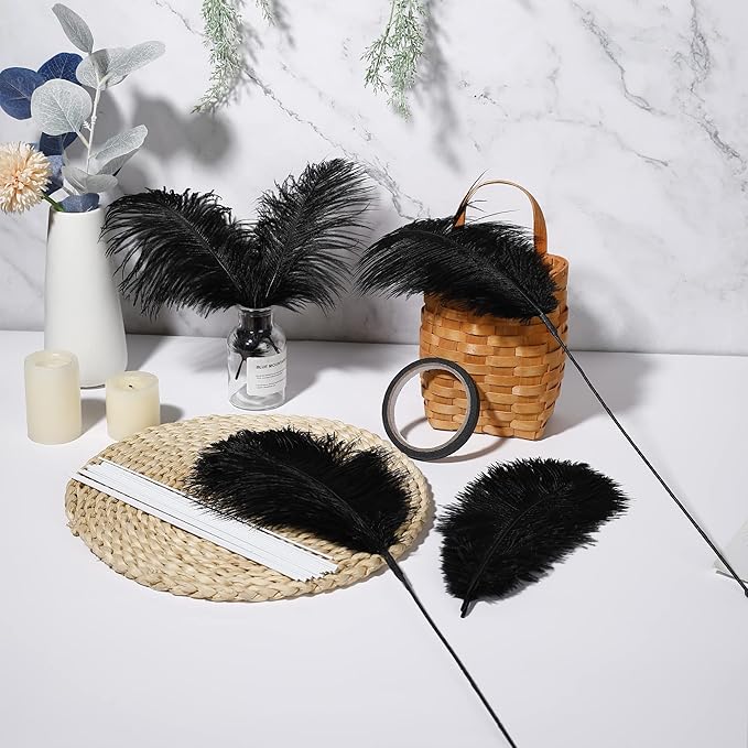Holmgren Black Ostrich Feathers Bulk - Image 5