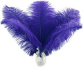 Ballinger Royal Blue Ostrich Feathers by Ballinger