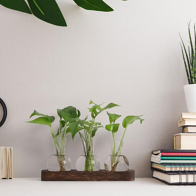 YIBOT Propagation Stations, Plant Propagation Vase, Desk Plant Terrarium - Image 9