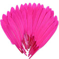 FeelfunFeather 120pcs Hot Pink Goose Cochettes Feather Natural Bulk 4-6 inch by FeelFunFeather