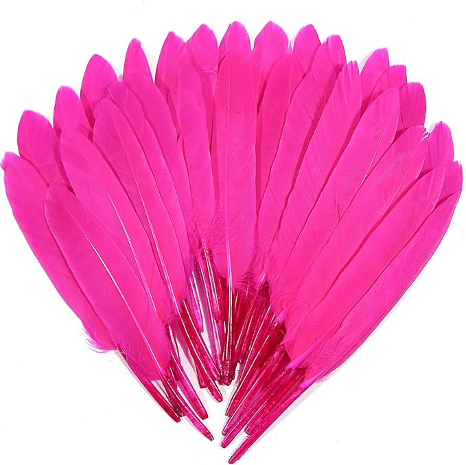 FeelfunFeather 120pcs Hot Pink Goose Cochettes Feather Natural Bulk 4-6 inch by FeelFunFeather