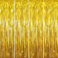 GOER 3.2 ft x 9.8 ft Metallic Tinsel Foil Fringe Curtains Party Photo Backdrop by GOER