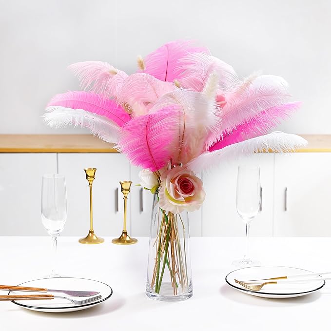 Holmgren Pink White and Light Pink Ostrich Feathers - Image 6