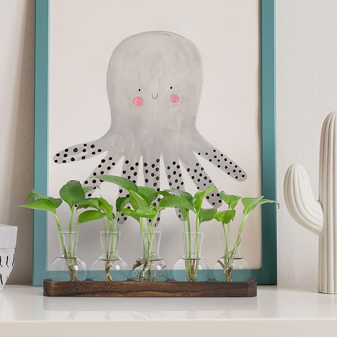 YIBOT Plant Propagation Stations, Glass Propagation Vases - Image 4
