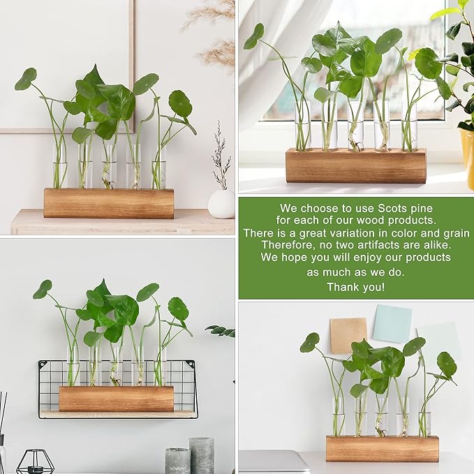 YIBOT Propagation Stations, Plant Terrarium - Image 7