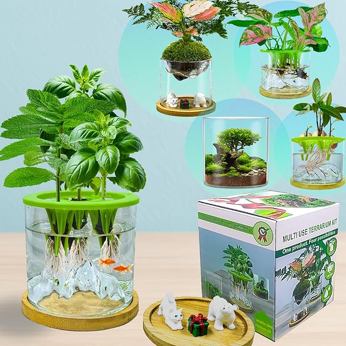 Versatile Plant Propagation Station Vase Hydroponic Planter Pot, Glass Plant by ESUPEREGROW